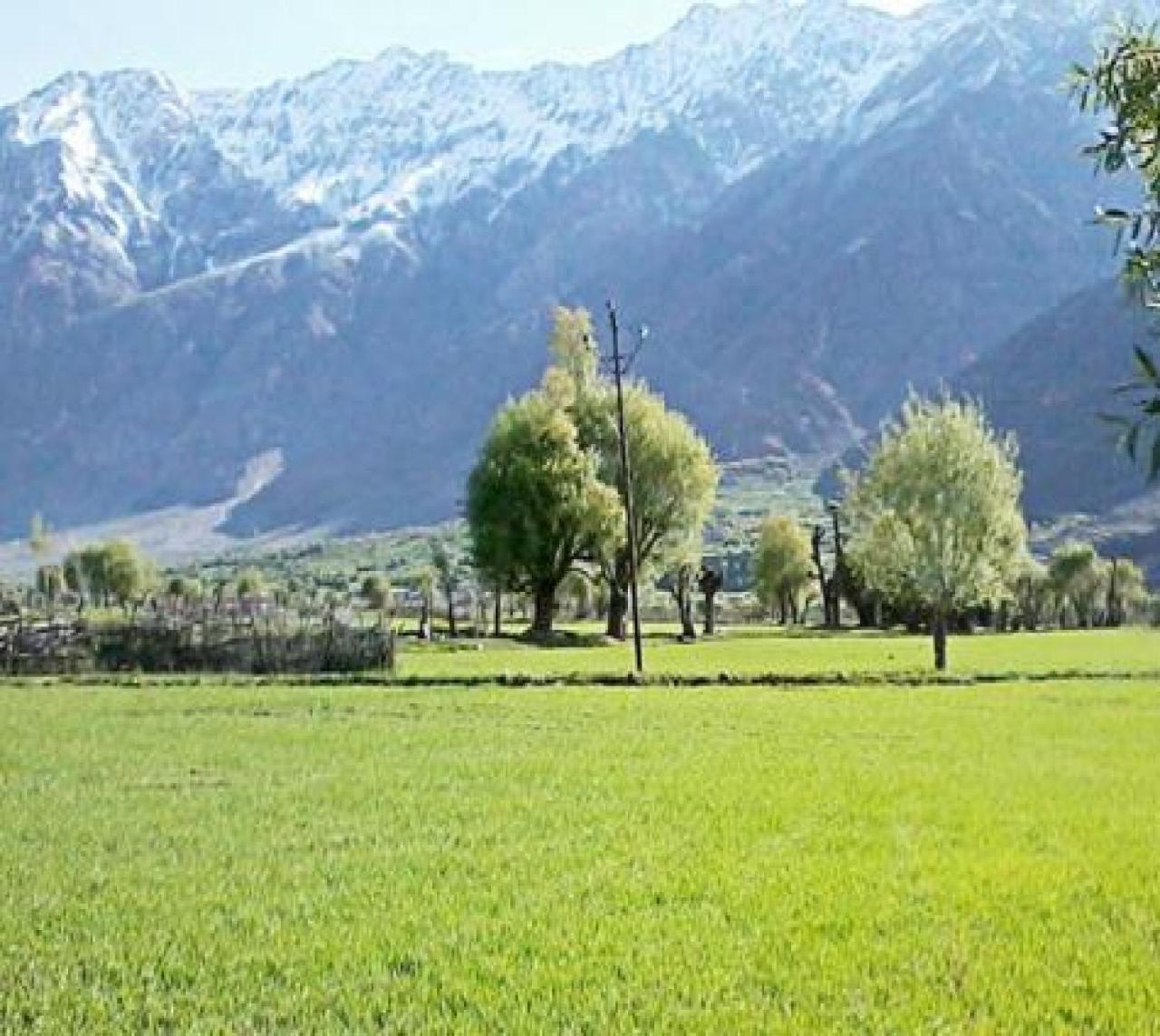 Hotel Suru View Kargil Esterno foto